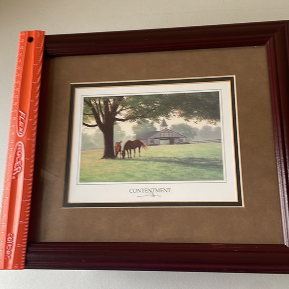 Contentment Thoroughbred Horse Farm Picture - Picture 3 of 4